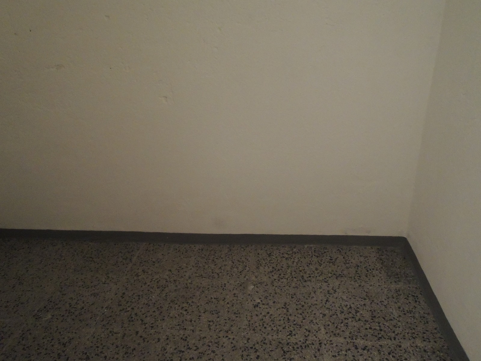 DSCN0598